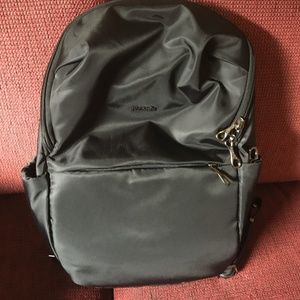 Pacsafe Cruise Anti-Theft Essentials Backpack